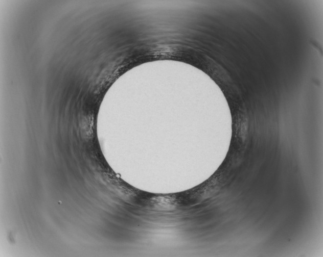 X0000103950660200810171839