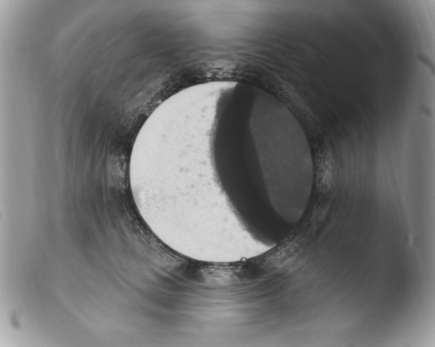 X0000103950661200810171839