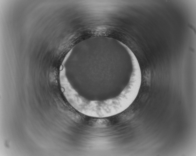 X0000103950663200810171839