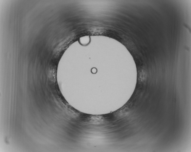 X0000103950666200810171839