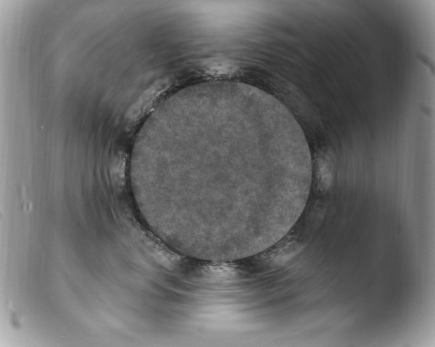 X0000103950668200810171839