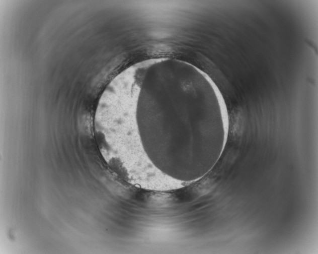 X0000103950669200810171839