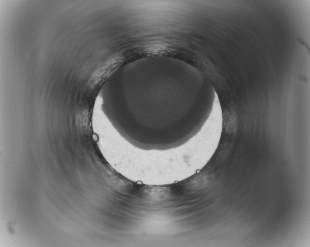 X0000103950670200810171839