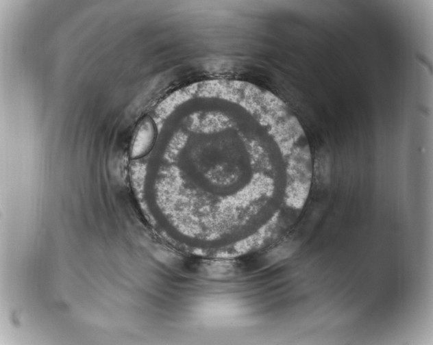 X0000103950671200810171840