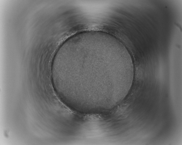 X0000103950673200810171839