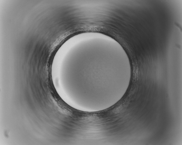 X0000103950674200810171839