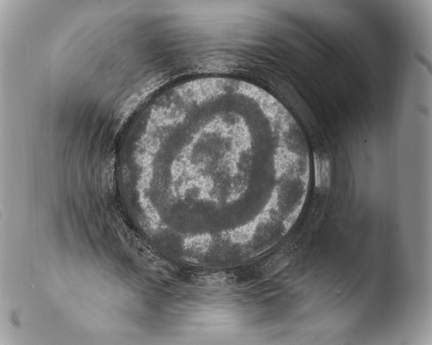 X0000103950675200810171839