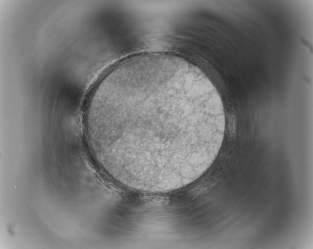 X0000103950676200810171839