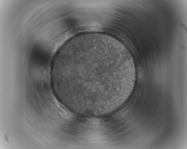X0000103950677200810171839