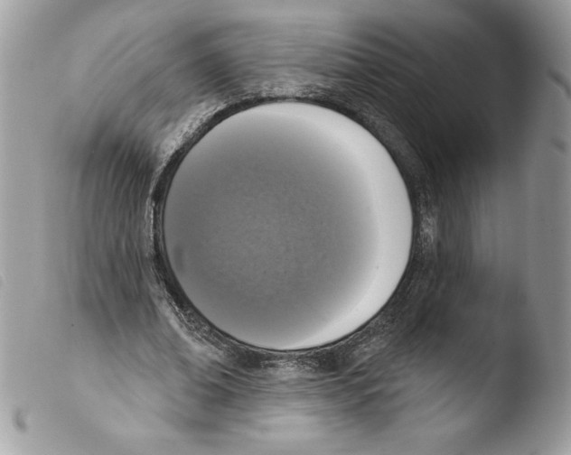 X0000103950678200810171839