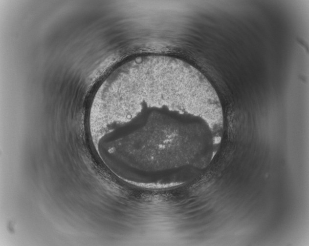 X0000103950679200810171839