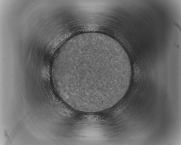 X0000103950681200810171839