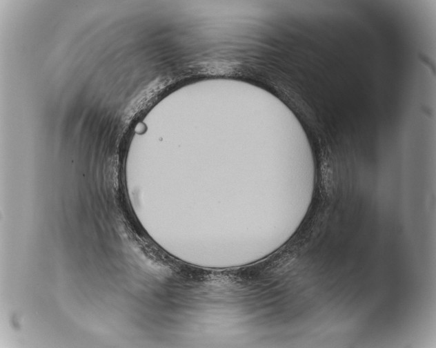 X0000103950682200810171839