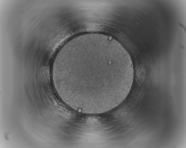 X0000103950684200810171838