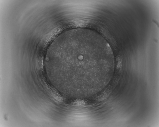 X0000103950685200810171838