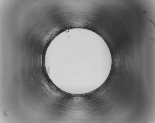 X0000103950686200810171838