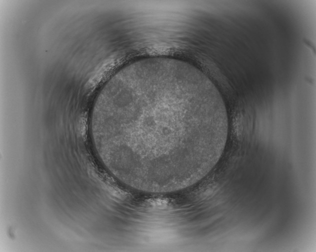 X0000103950687200810171838