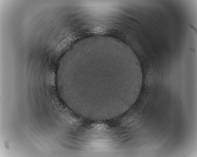 X0000103950689200810171838