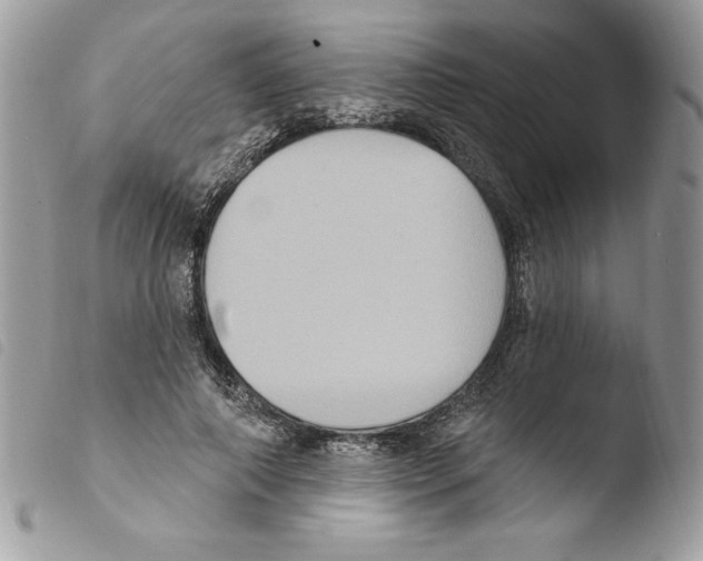 X0000103950690200810171838