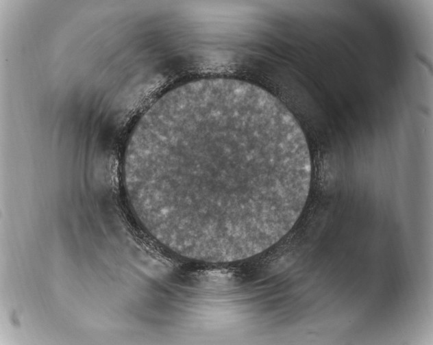 X0000103950692200810171838