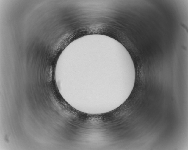 X0000103950694200810171838