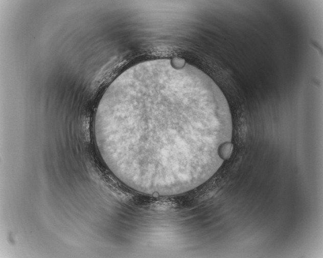 X0000103950696200810171838