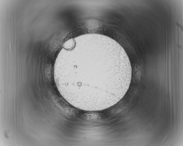 X0000103950698200810171838