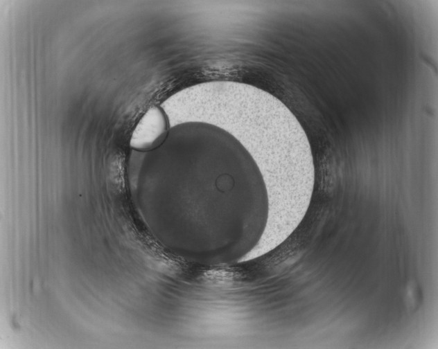 X0000103950699200810171838