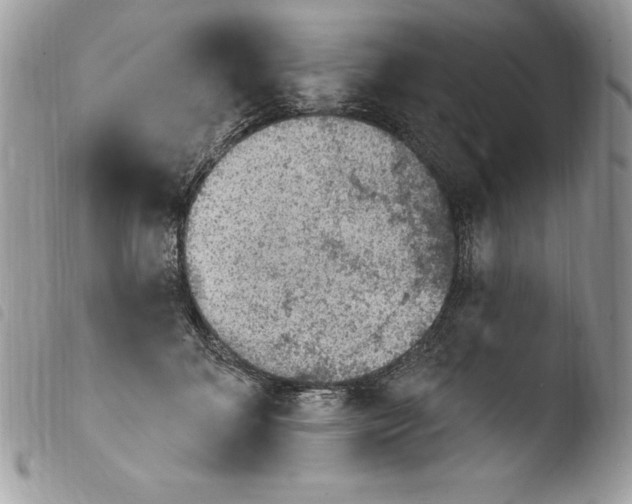 X0000103950700200810171838
