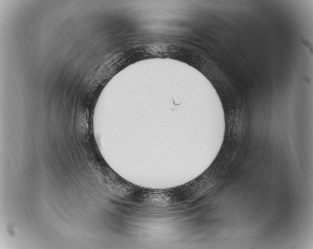 X0000103950702200810171838