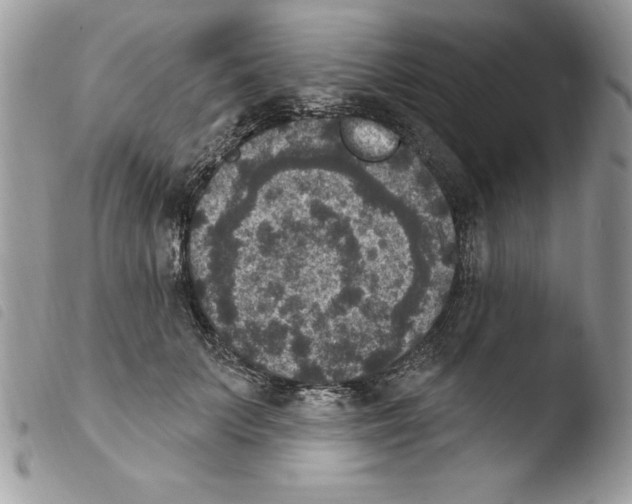X0000103950703200810171838