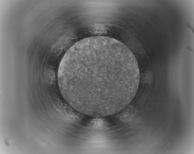 X0000103950704200810171838
