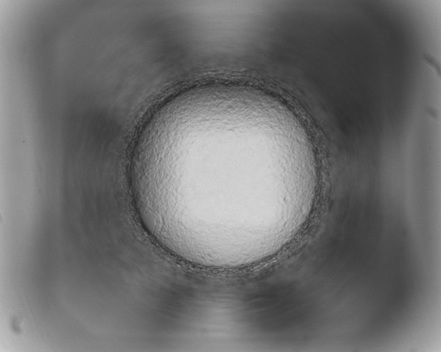 X0000103950705200810171838