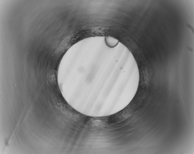 X0000103950706200810171838