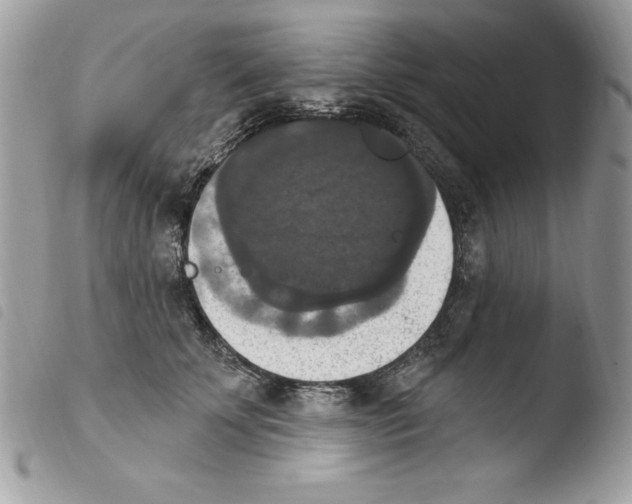 X0000103950707200810171838