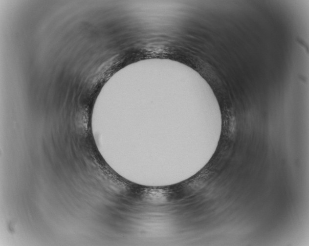 X0000103950710200810171838