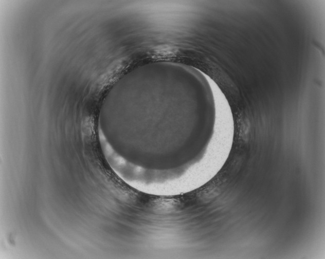 X0000103950711200810171838