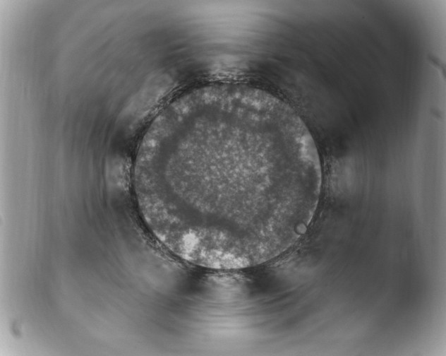 X0000103950712200810171838
