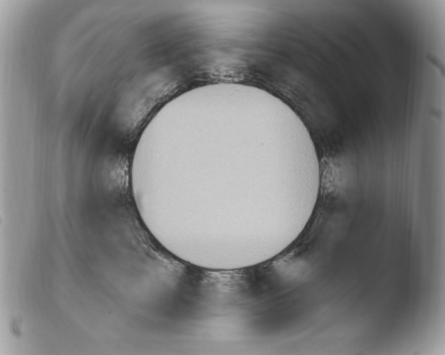X0000103950713200810171838
