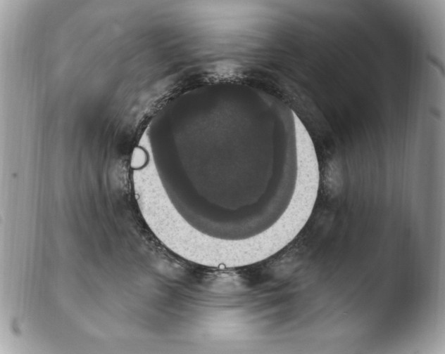 X0000103950715200810171838