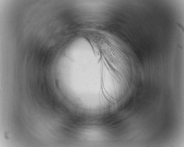X0000103950717200810171838