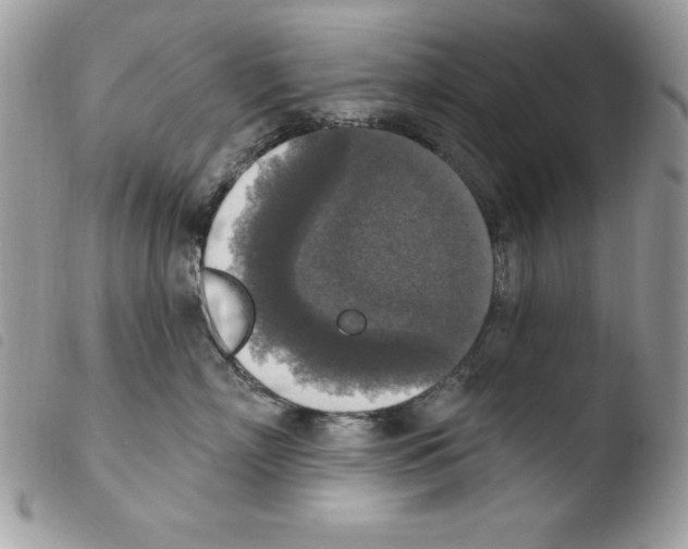 X0000103950718200810171838
