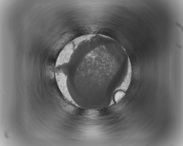 X0000103950719200810171838