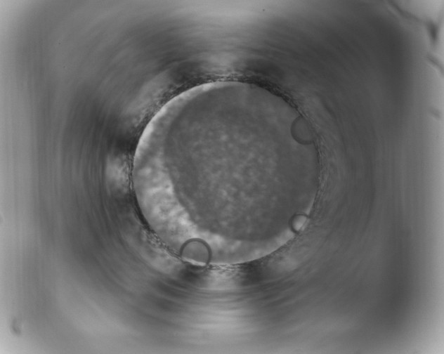 X0000103950720200810171838