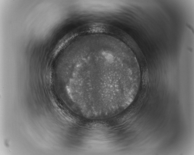 X0000103950722200810171837