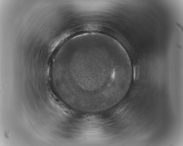 X0000103950723200810171837