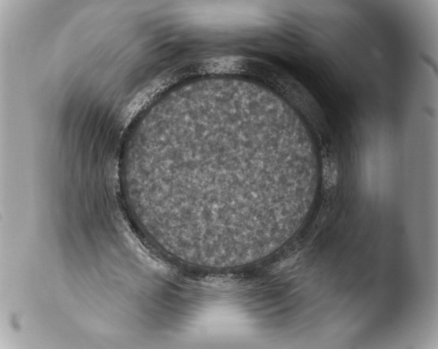 X0000103950725200810171837