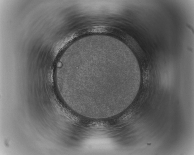 X0000103950727200810171837