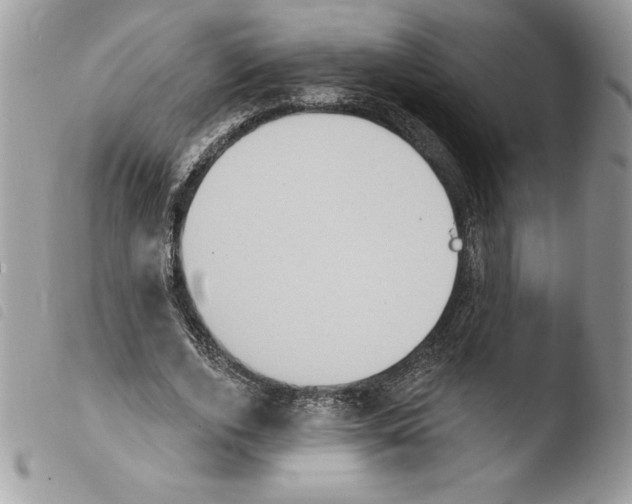 X0000103950728200810171837