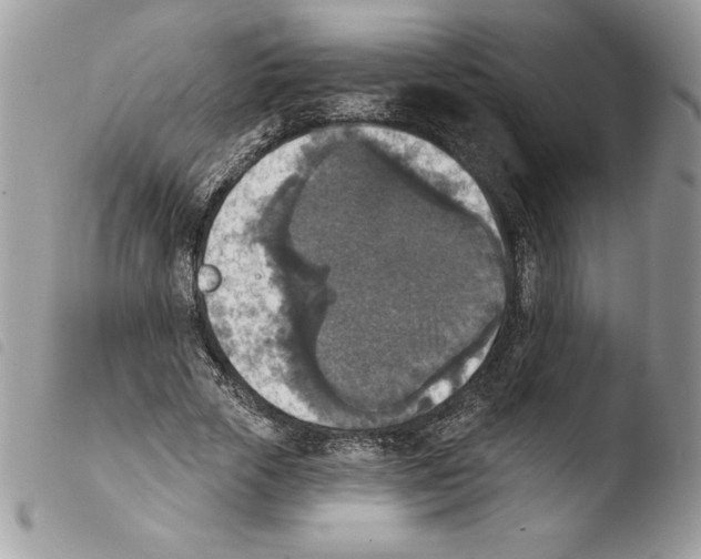 X0000103950729200810171837